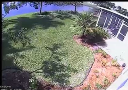 Backyard Camera